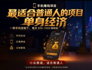 单身经济小众赛道,每天800-1000,一部手机就能干,最适合普通人的项目【揭秘】-聊项目