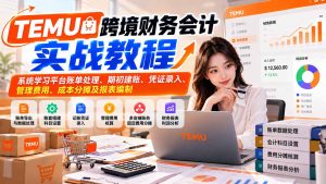TEMU跨境财务会计实战教程:系统学习平台账单处理、期初建账、凭证录入、管理费用、成本分摊及报表编制-聊项目