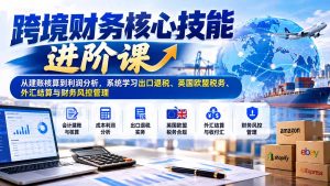 跨境财务核心技能进阶课：从建账核算到利润分析，系统学习出口退税、英国欧盟税务、外汇结算与财务风控管理-聊项目