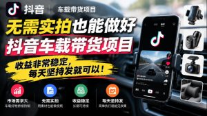 无需实拍也能做好抖音车载带货项目，收益非常稳定，每天坚持发就可以！-聊项目
