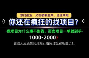 你还在疯狂的找项目?别傻了!卖项目才是真正的一本万利!怎么做,看完你全都明白!【揭秘】-聊项目